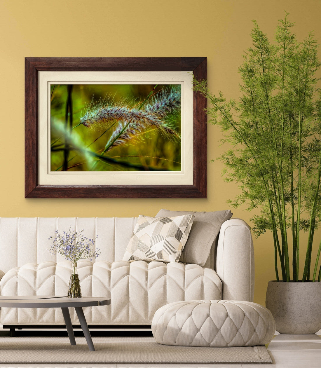Why Most Photos Don’t Belong on a Wall (And How to Tell If Yours Does)