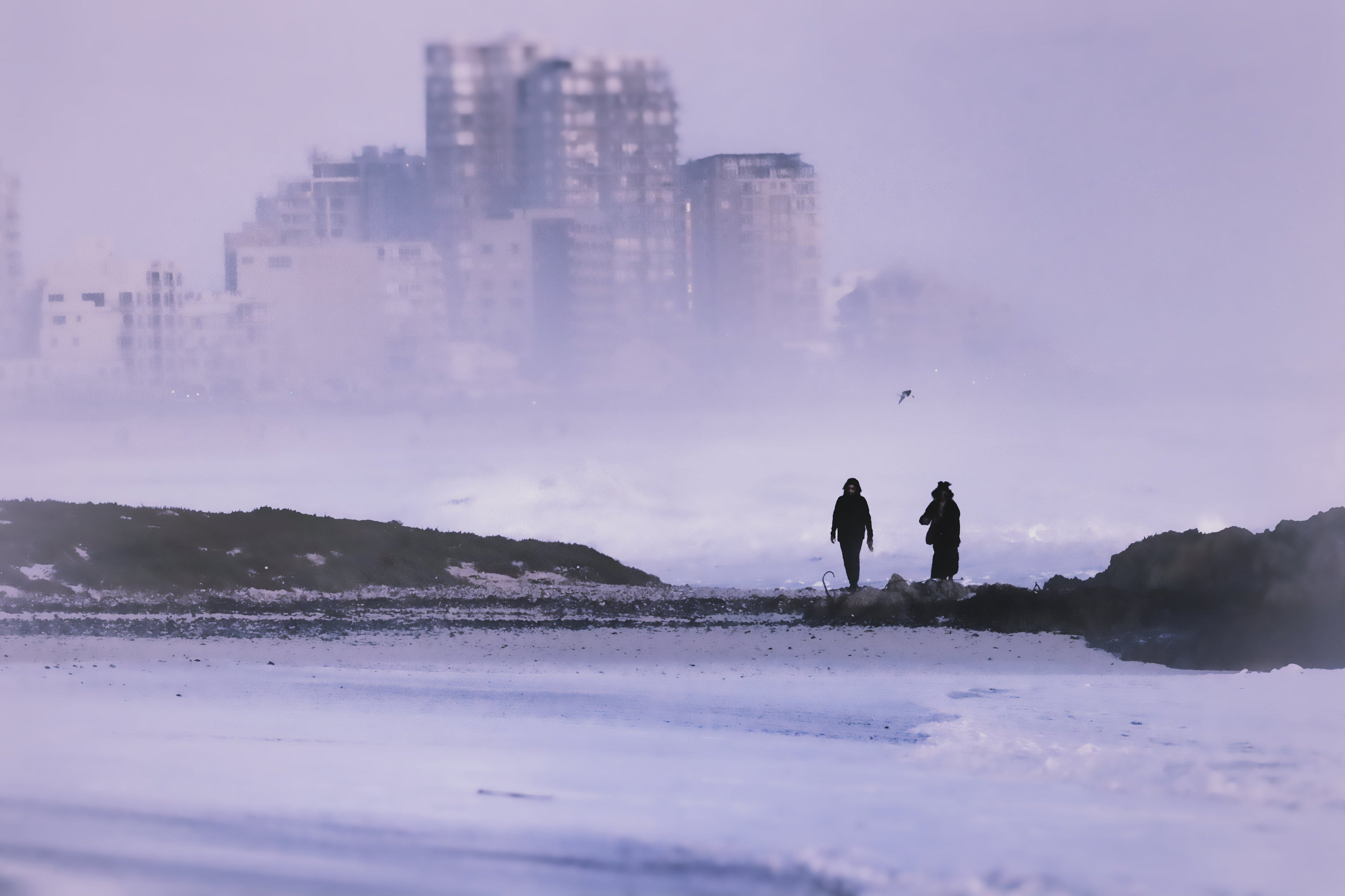 What Is Trending in Photography Right Now — And Why It Matters