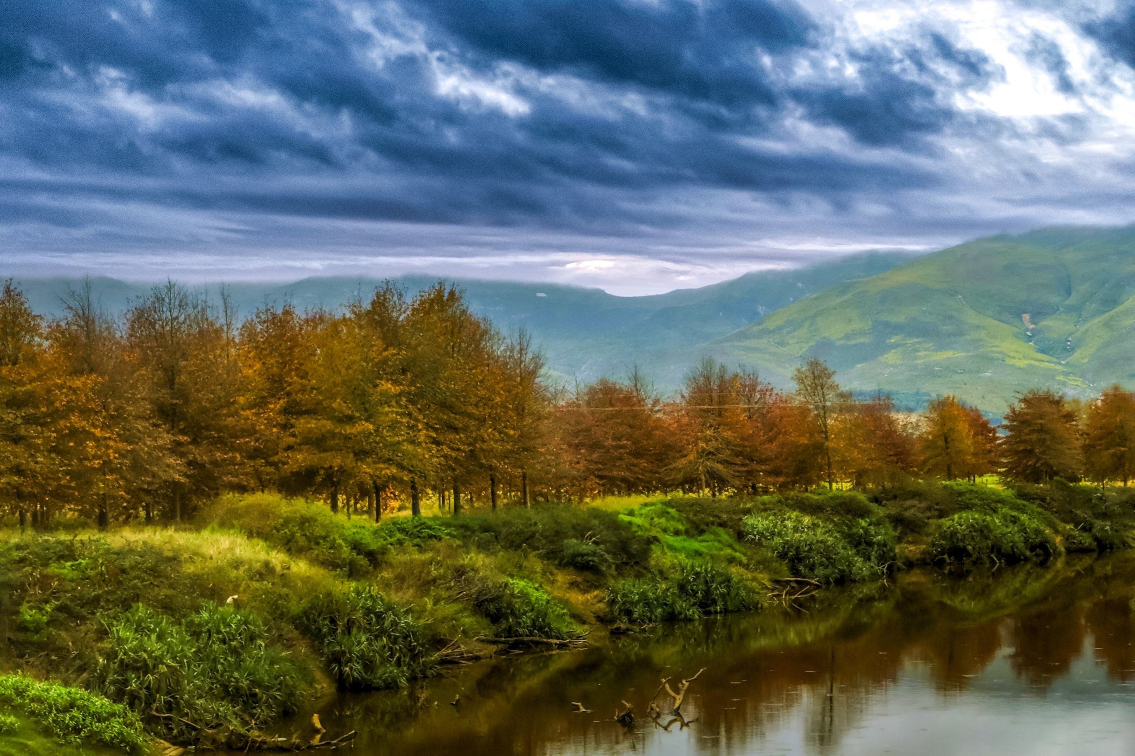 Pastoral Scenes