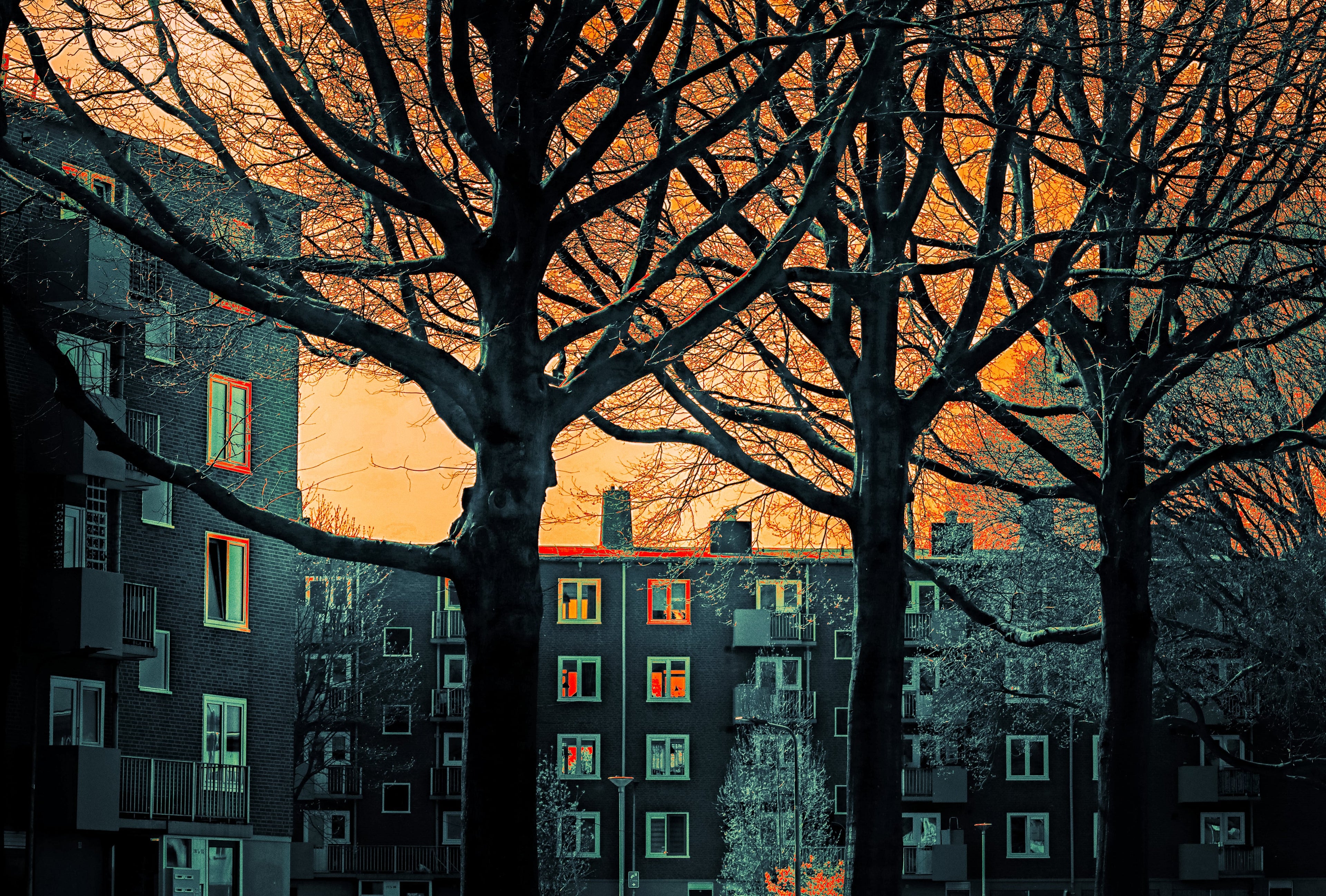 Abstract Wall Art | Contemporary Fine Art Photography