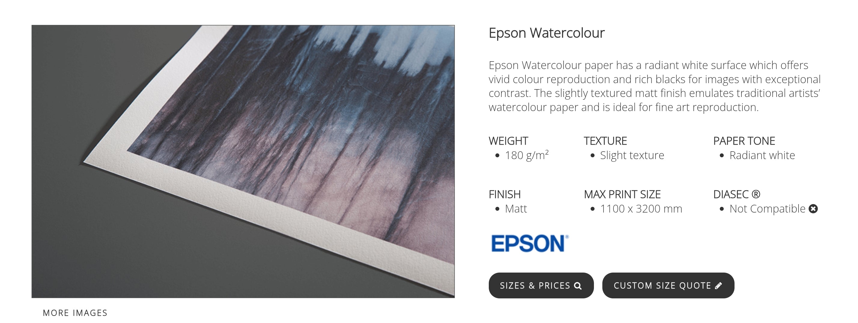 Garden Scrolls and Leaves - Stretched Canvas