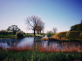 The Quiet Waterway | European Landscape | Travel Wall Art |  Framed Metal Print