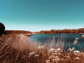 Teal, brown and white colors in a canal nature scene 