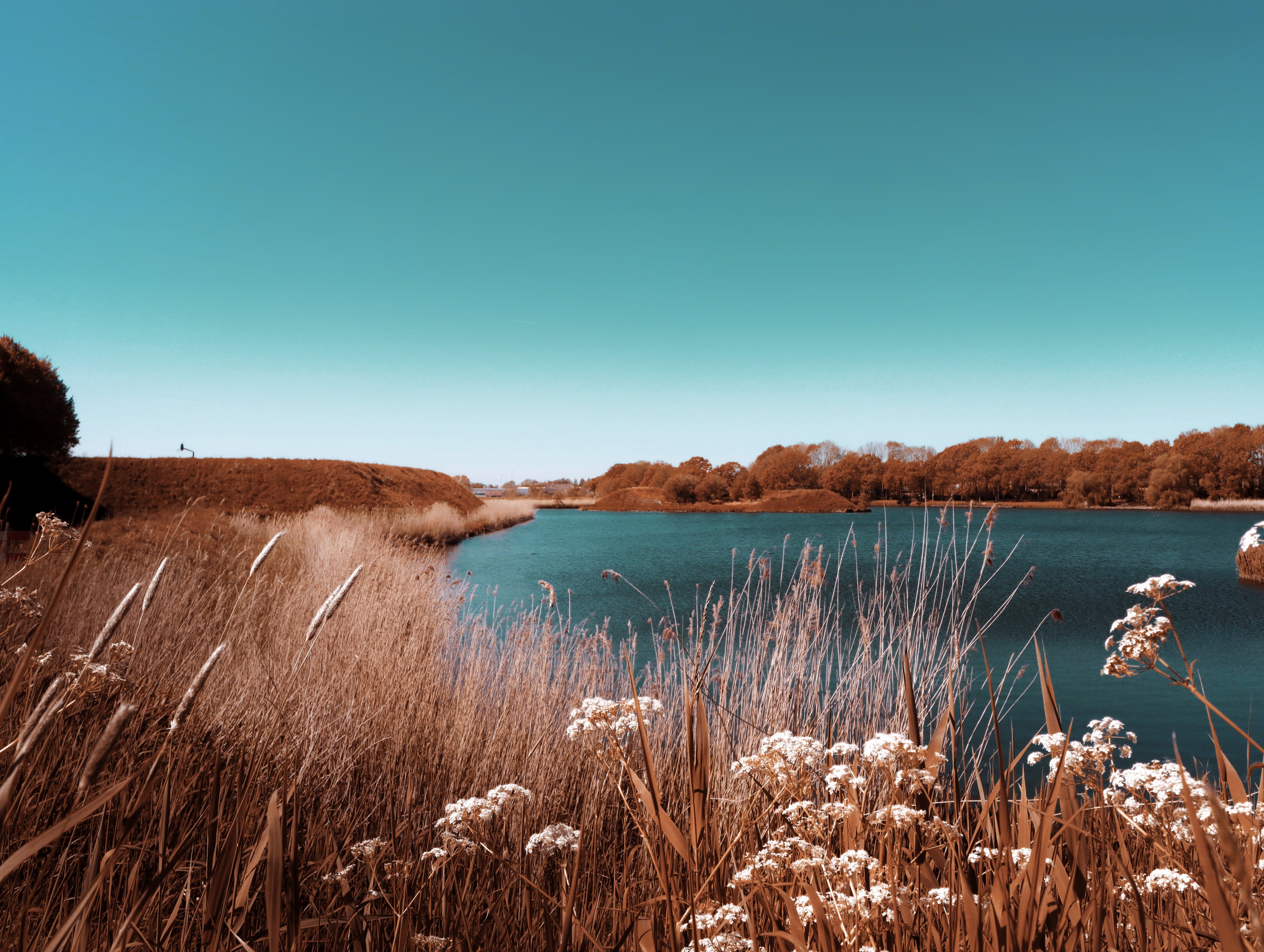 Teal, brown and white colors in a canal nature scene 