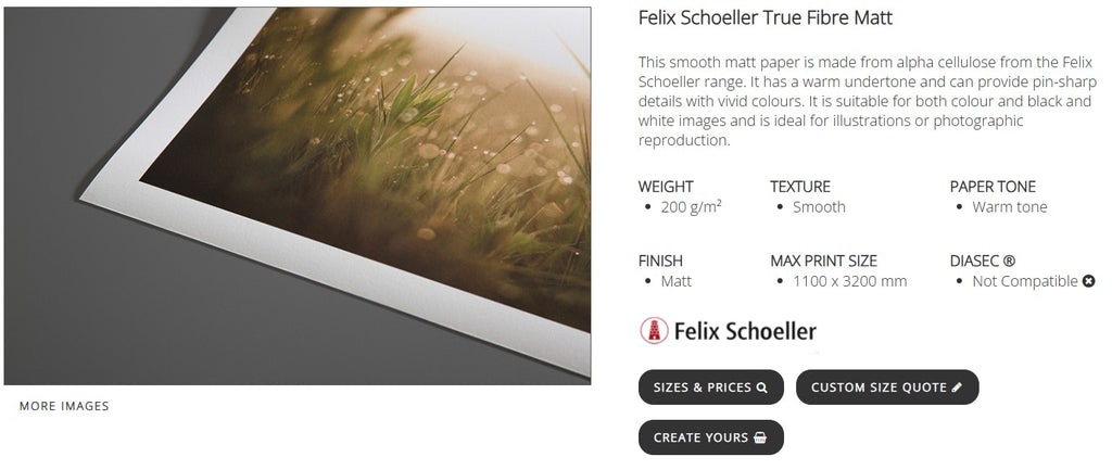 Yellow Hibiscus Bloom - True Fibre Print Only,  no frame