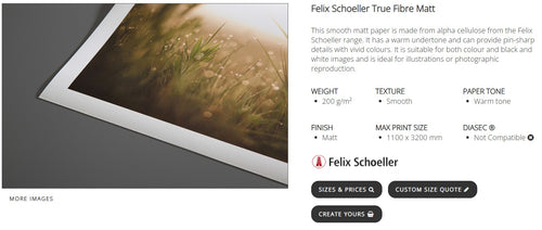 Fallen Pink Blossom True Fibre Print