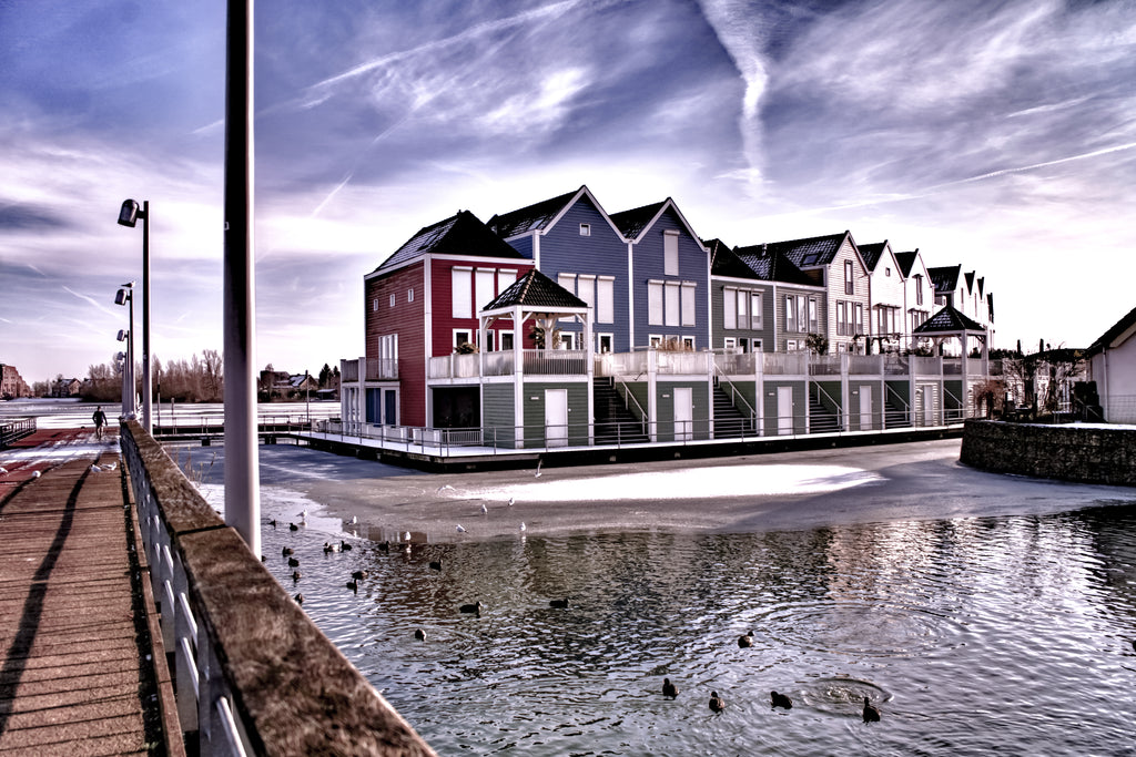 Modern houses by a waterfront with ducks in the water