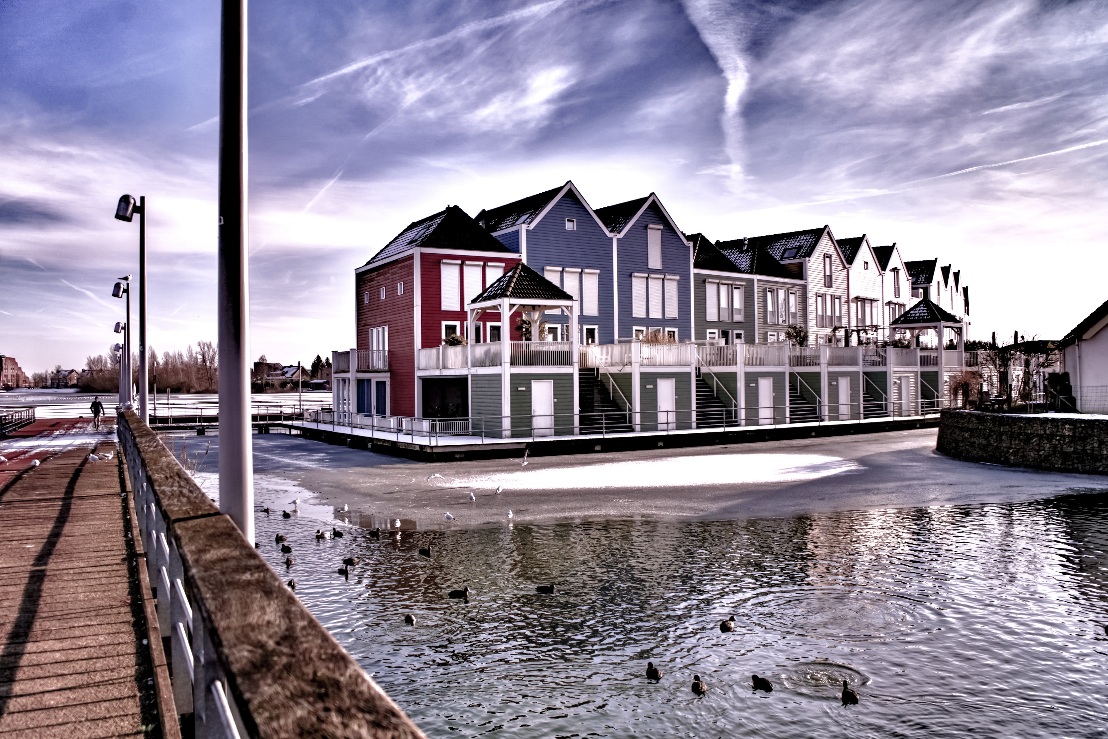 Modern houses by a waterfront with ducks in the water