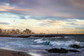 Seagulls foraging for food in last light of the day over rocky beach fine art print