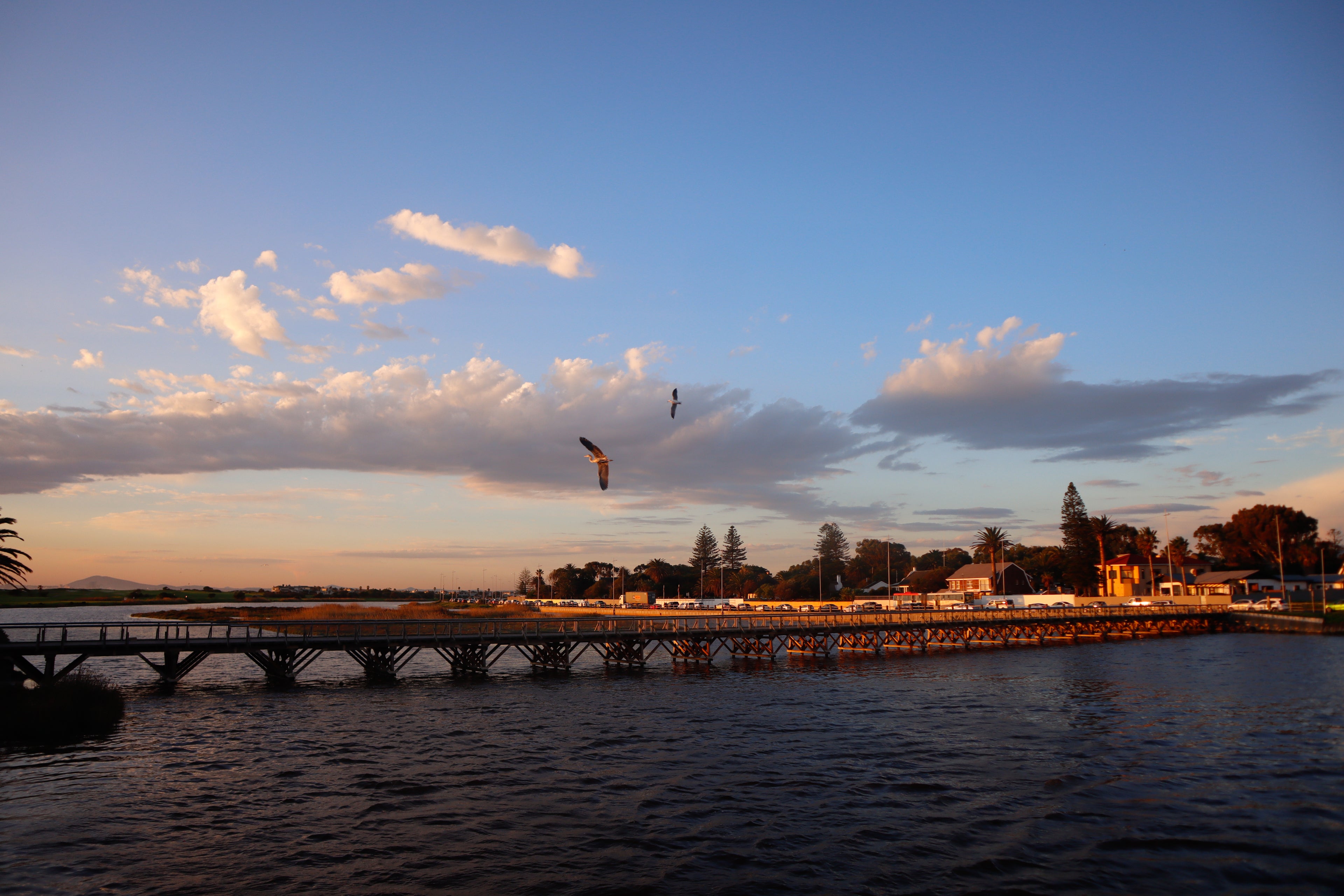 A wide landscape photograph of the historic wooden bridge crossing the lagoon in Milnerton, Cape Town, under a blue twilight sky with flying birds.