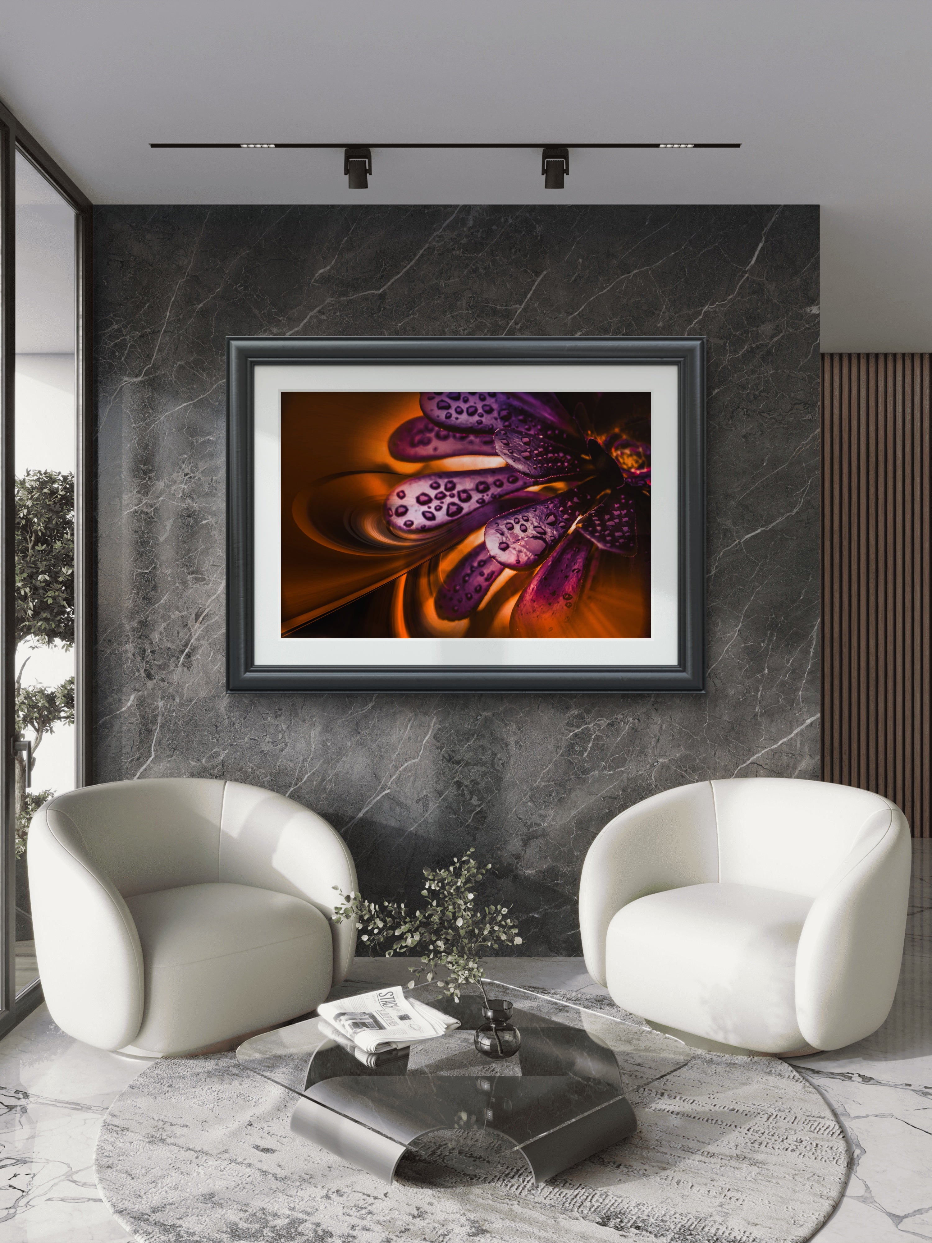 Retro Purple Succulent Water Drops | Abstract Fine Art Print | Photography | Framed Stretched Canvas Decor Print