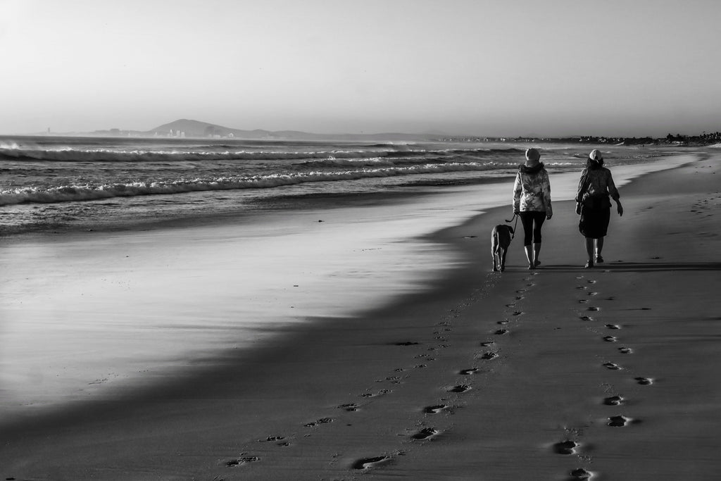 Black and white fine art photograph of two people and a dog walking along a wide South African beach at low tide leaving footprints in wet sand, coastal wall art print, ApertureAndArt