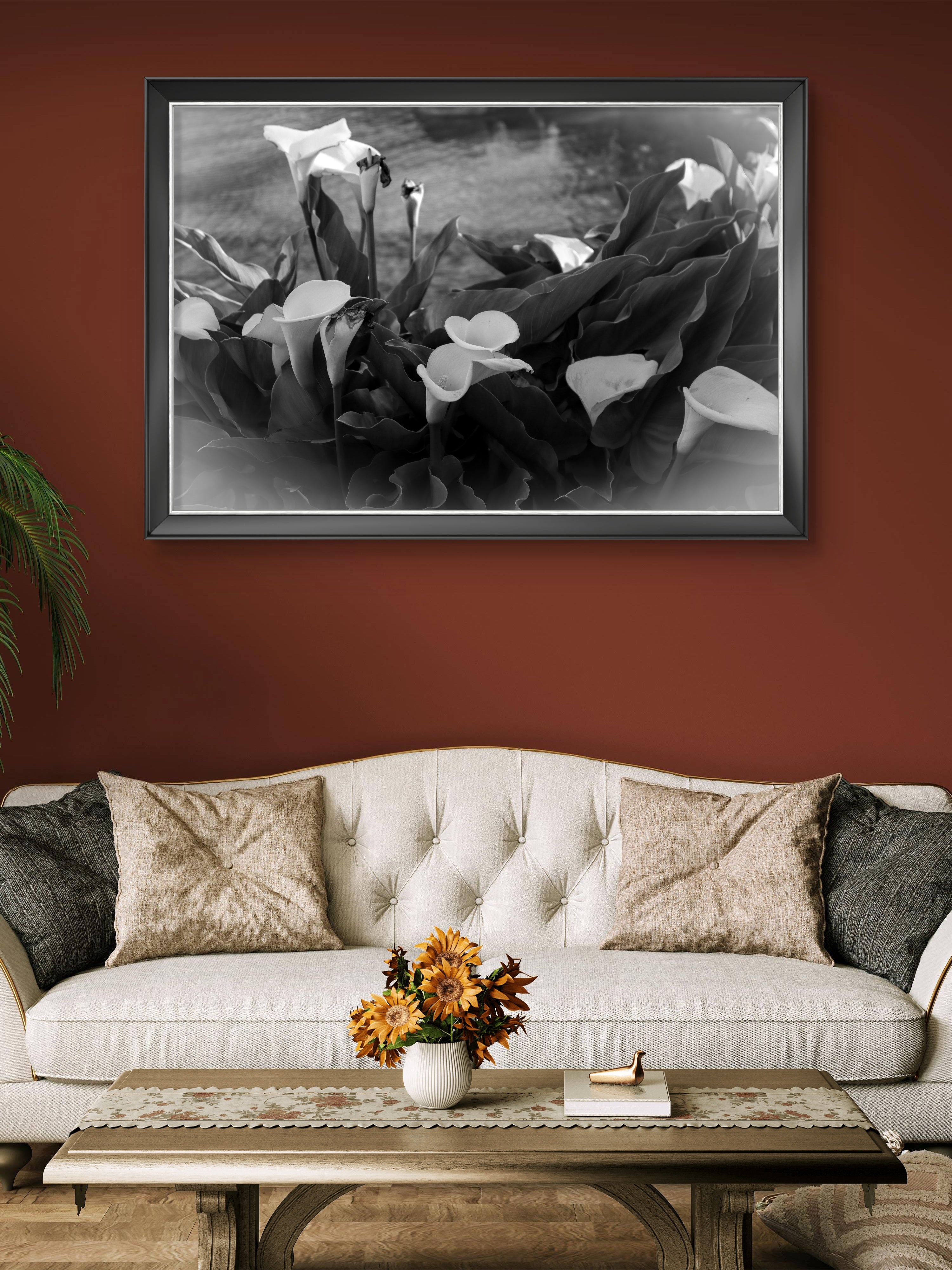 Serene Solitude – Black and White Calla Lilies Fine Art Print | Photography |Flower Wall Art Print | Framed Metal Decor Print