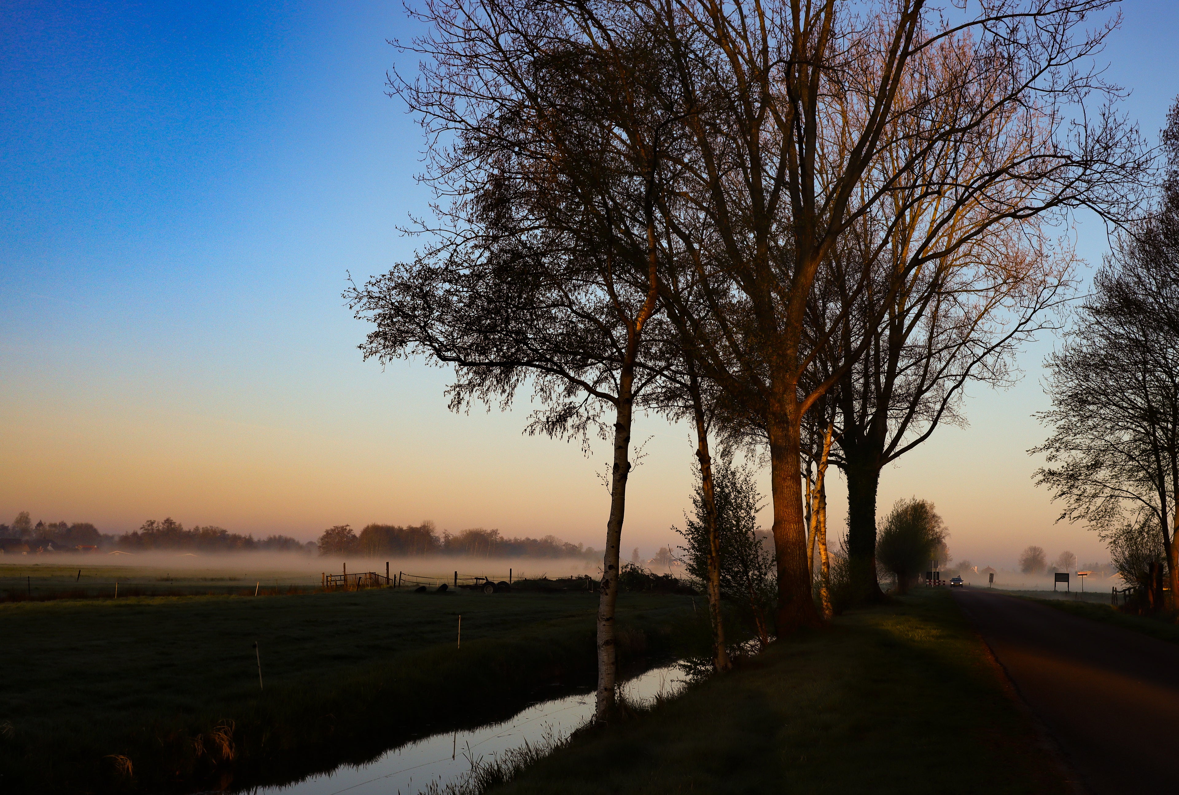 Misty sunrise over Giethoorn canal landscape with silhouetted trees reflected in calm water during early morning light in the Netherlands.