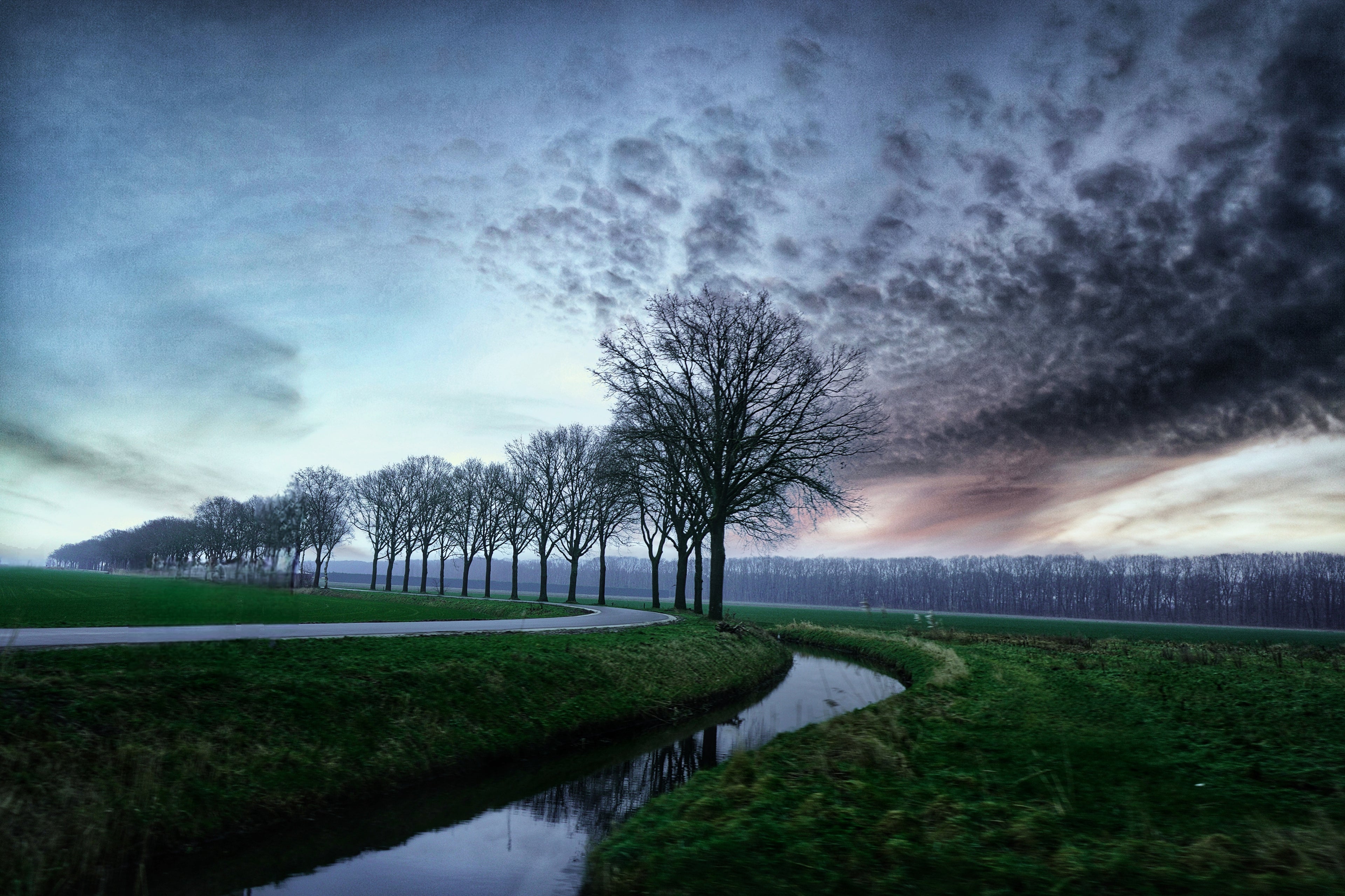 Misty Netherlands canal landscape with trees lining the waterway under dramatic early morning sky and soft atmospheric light.