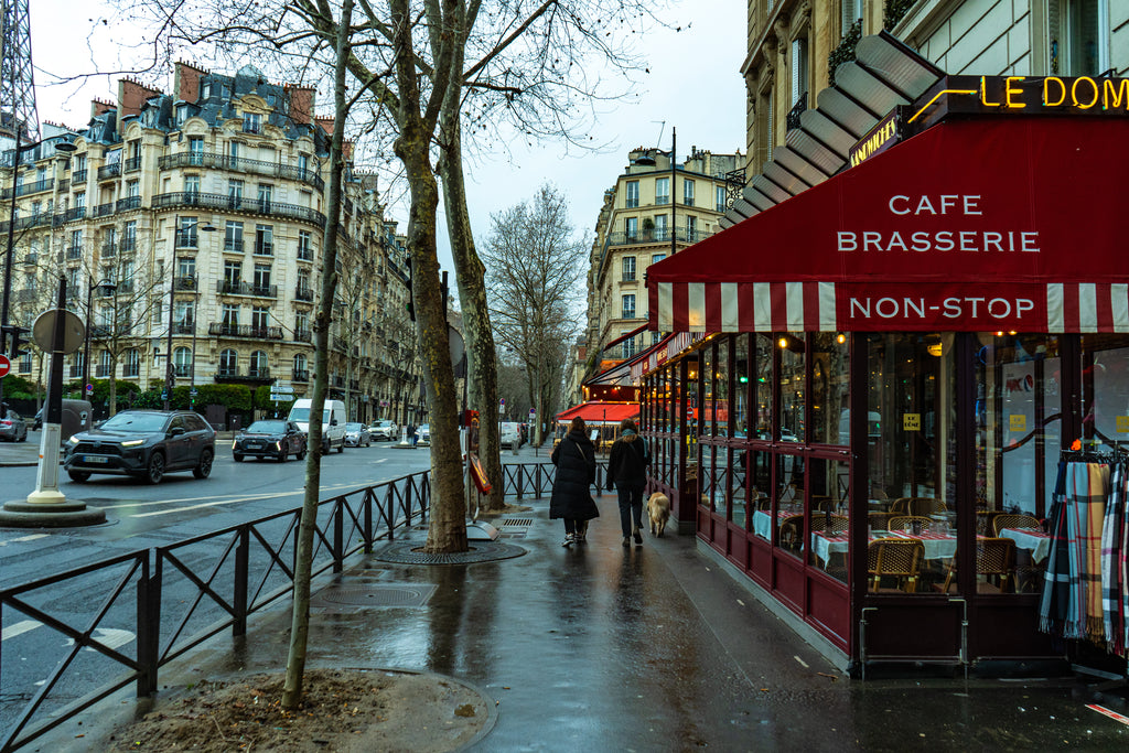 Urban street scene featuring architectural geometry and trees along a Paris sidewalk creating balanced city composition.