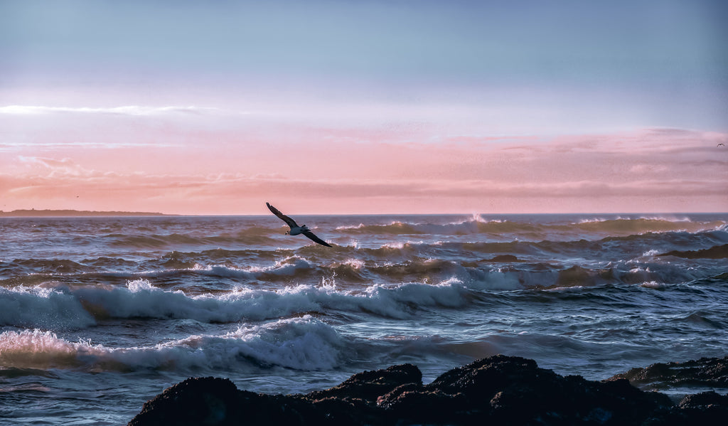 Soft pink sunset over ocean horizon with gentle waves and pastel evening tones creating a calm coastal seascape.