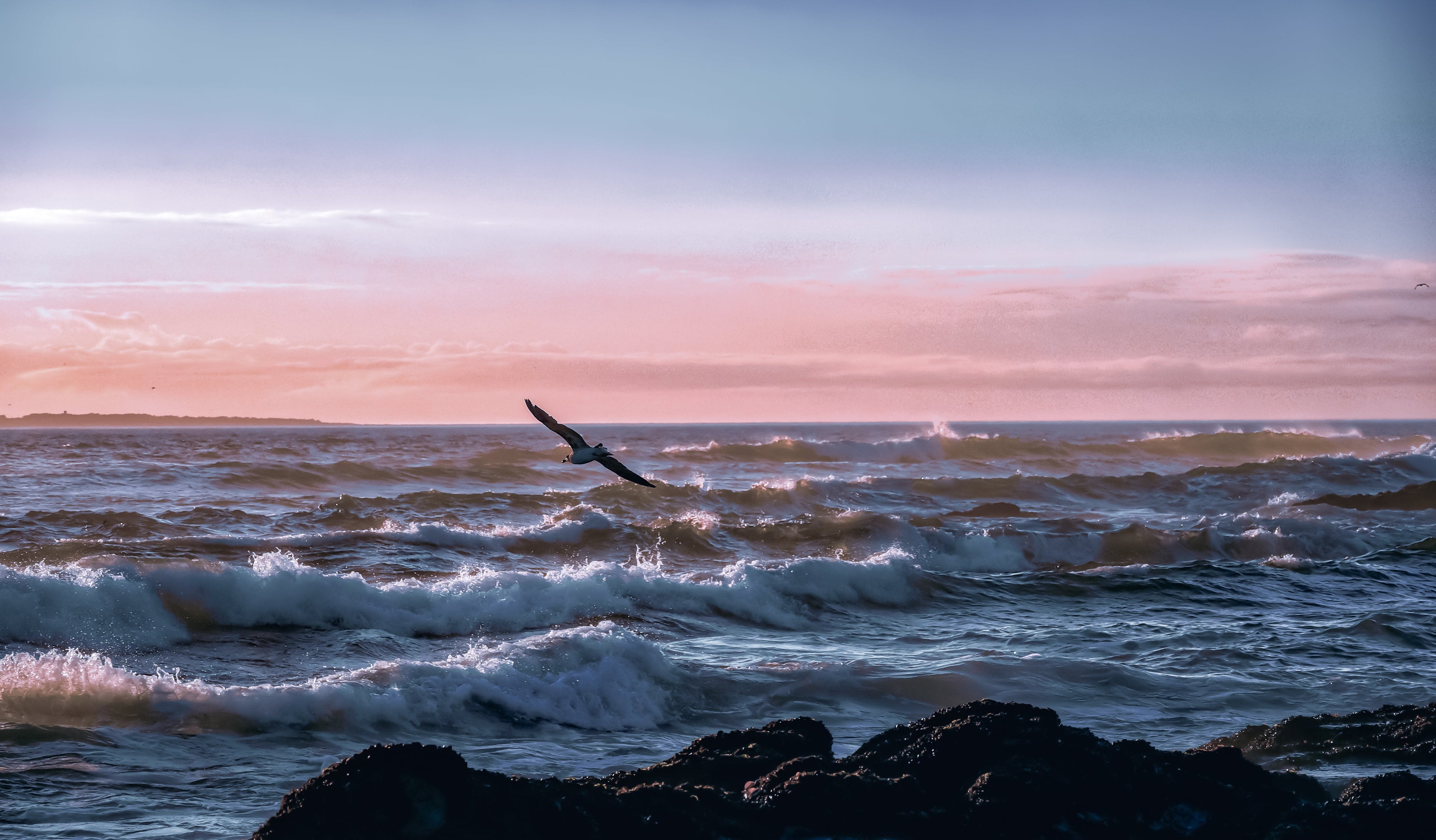 Soft pink sunset over ocean horizon with gentle waves and pastel evening tones creating a calm coastal seascape.